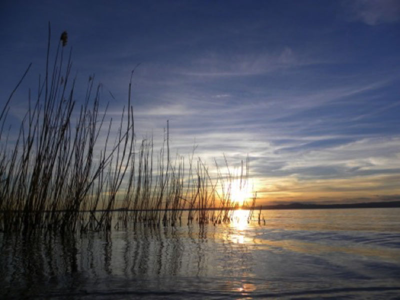 TREKKING BOLSENA