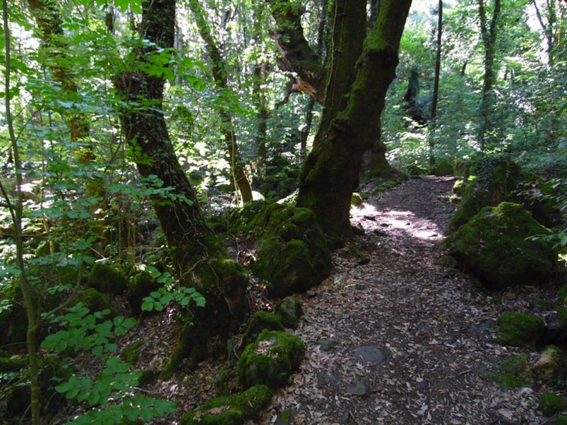 TREKKING VITERBO