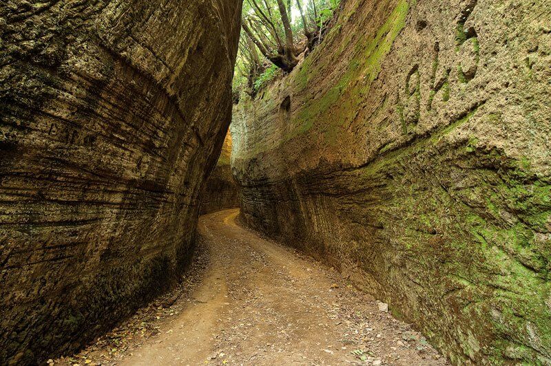 Trekking Toscana - Via Cava degli Etruschi